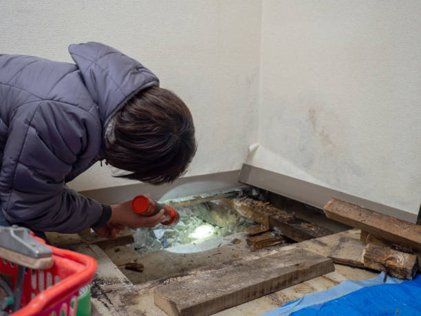 Best Post-Remediation Verification Testing  in Royston, GA