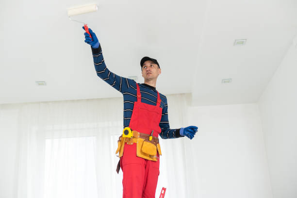 Best Mold Removal for HVAC Installations  in Royston, GA