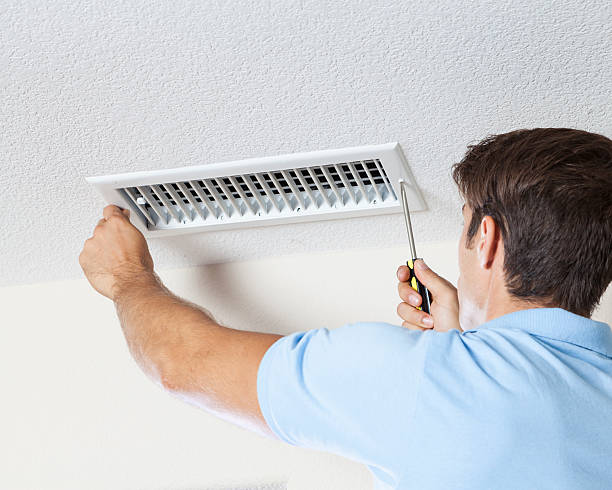 Best Water Damage & Mold Remediation  in Royston, GA