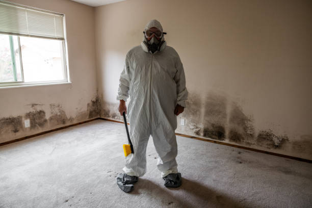 Best Attic Mold Removal  in Royston, GA