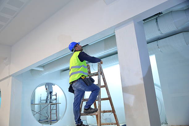 Best Black Mold Removal  in Royston, GA