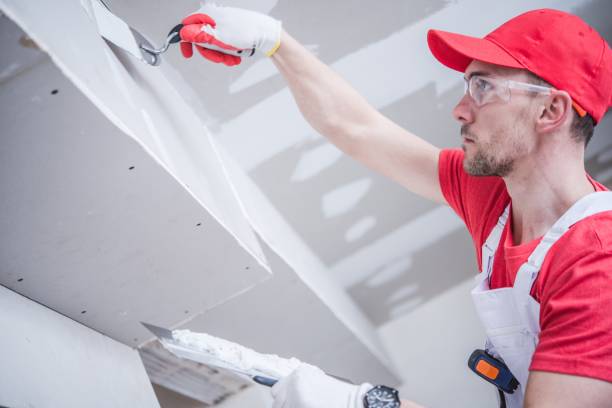 Best Mold Documentation for Insurance Claims  in Royston, GA