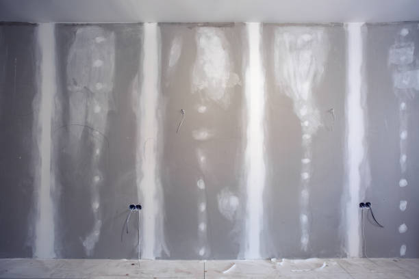 Best Dehumidification Services  in Royston, GA